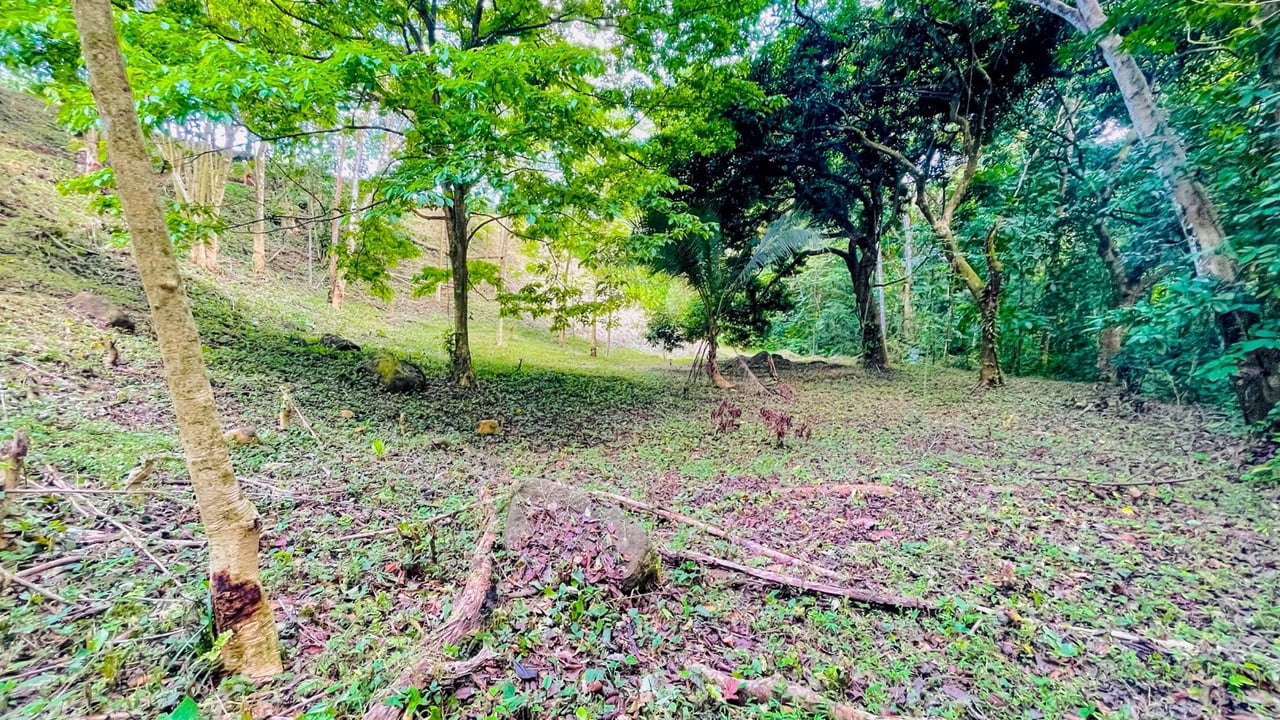 COSTA RICA LAND FOR SALE | LARGE FLAT PRIVATE PROPERTY WITH MOUNTAIN VIEWS, RIVER & FRUIT TREES