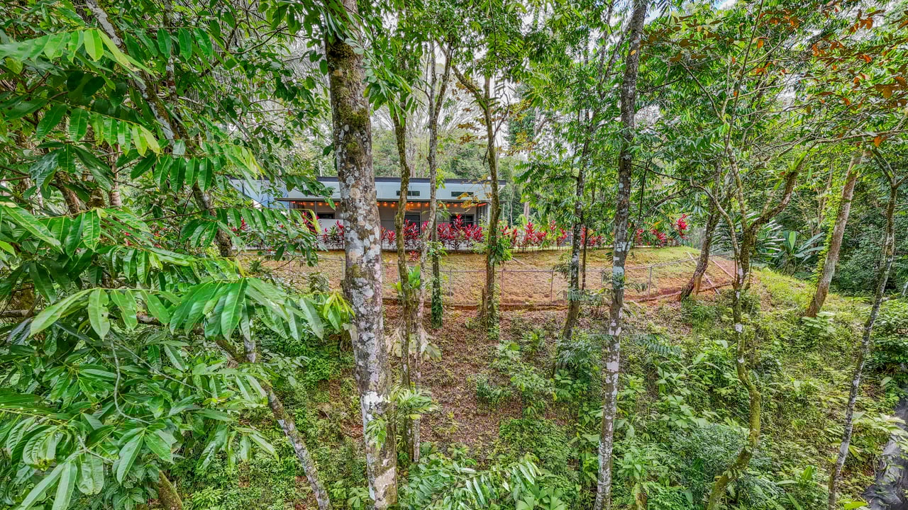 Modern 3-Bed Jungle Home with River and Pool in Cinco Ventanas Ojochal