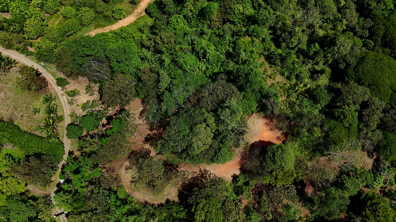 Beautiful mountain view land located in a quiet community in Ojochal. 
