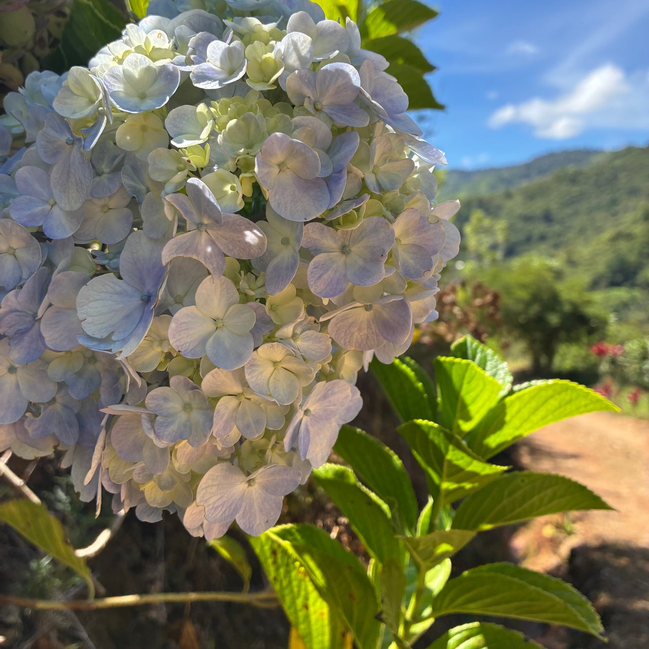Breathtaking Mountain View Estate in Chimirol, Pérez Zeledón — 1.4 Hectares of Privacy, Nature & Potential