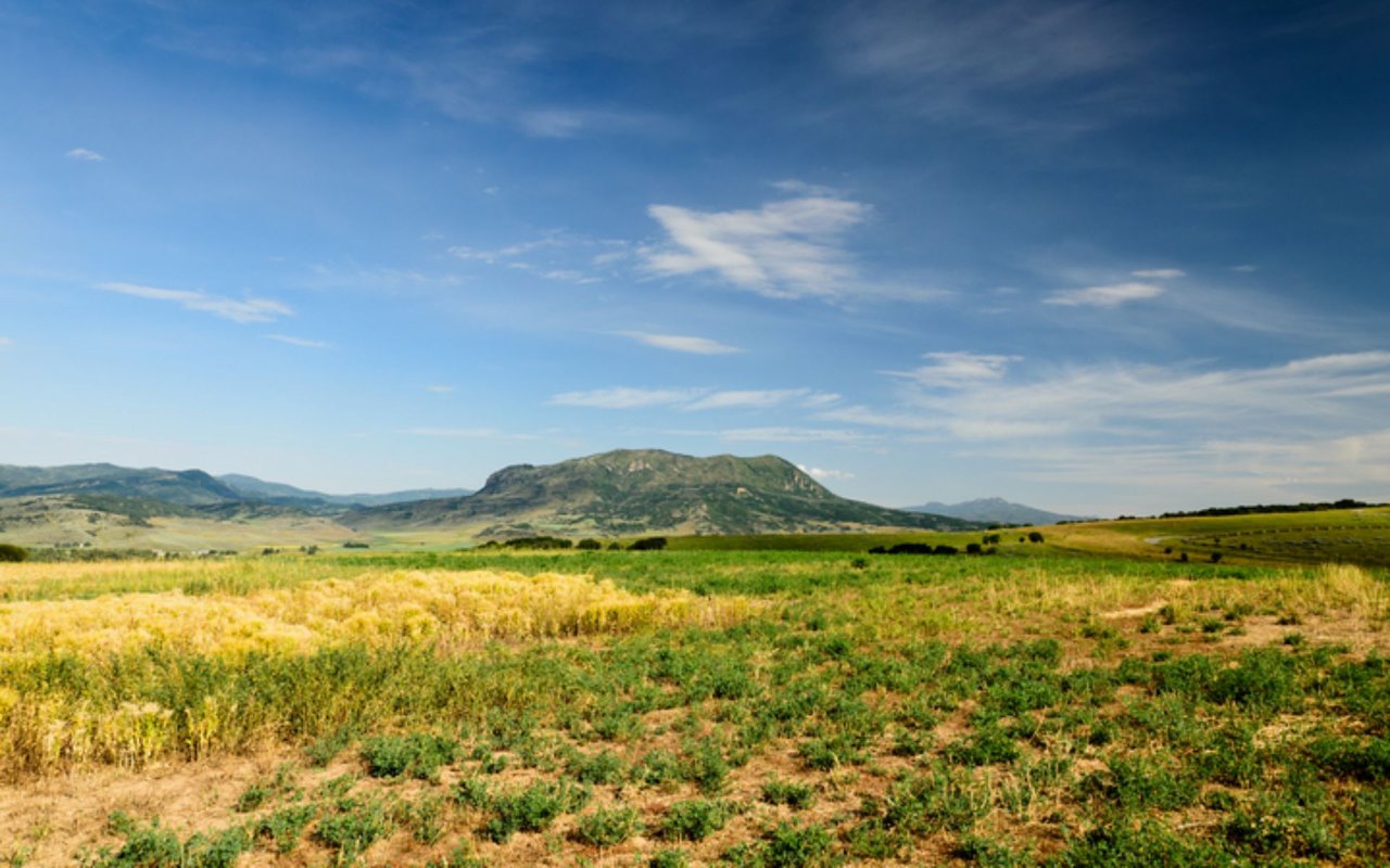 West End / Heritage Park / Silver Spur