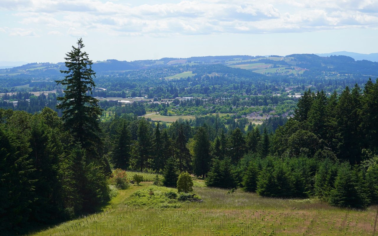 Woodinvale