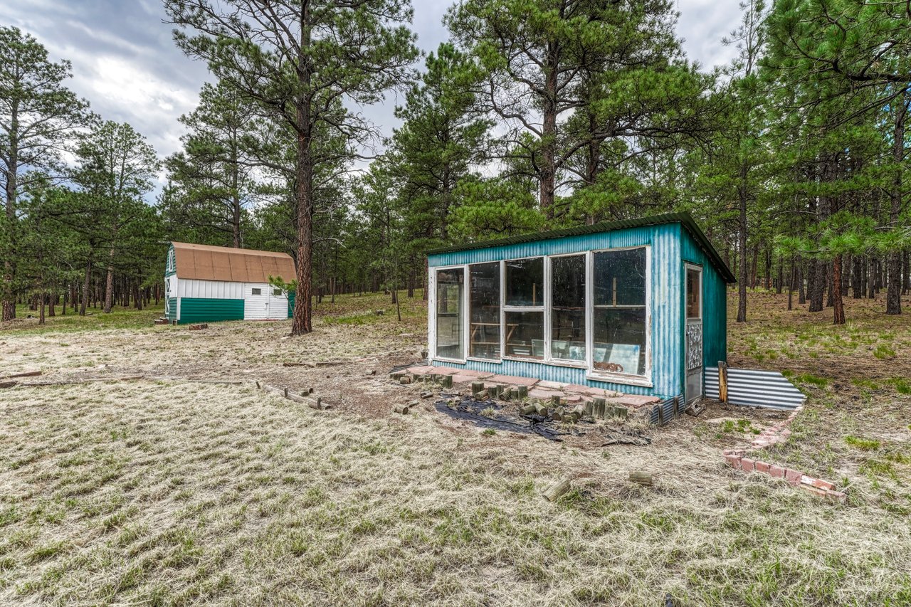 9950 Pine Park Trail