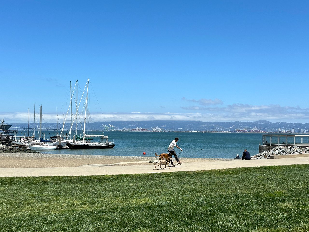 District 9 – Central East