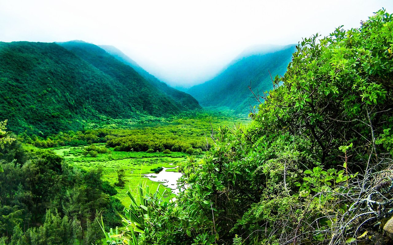 Niu Valley