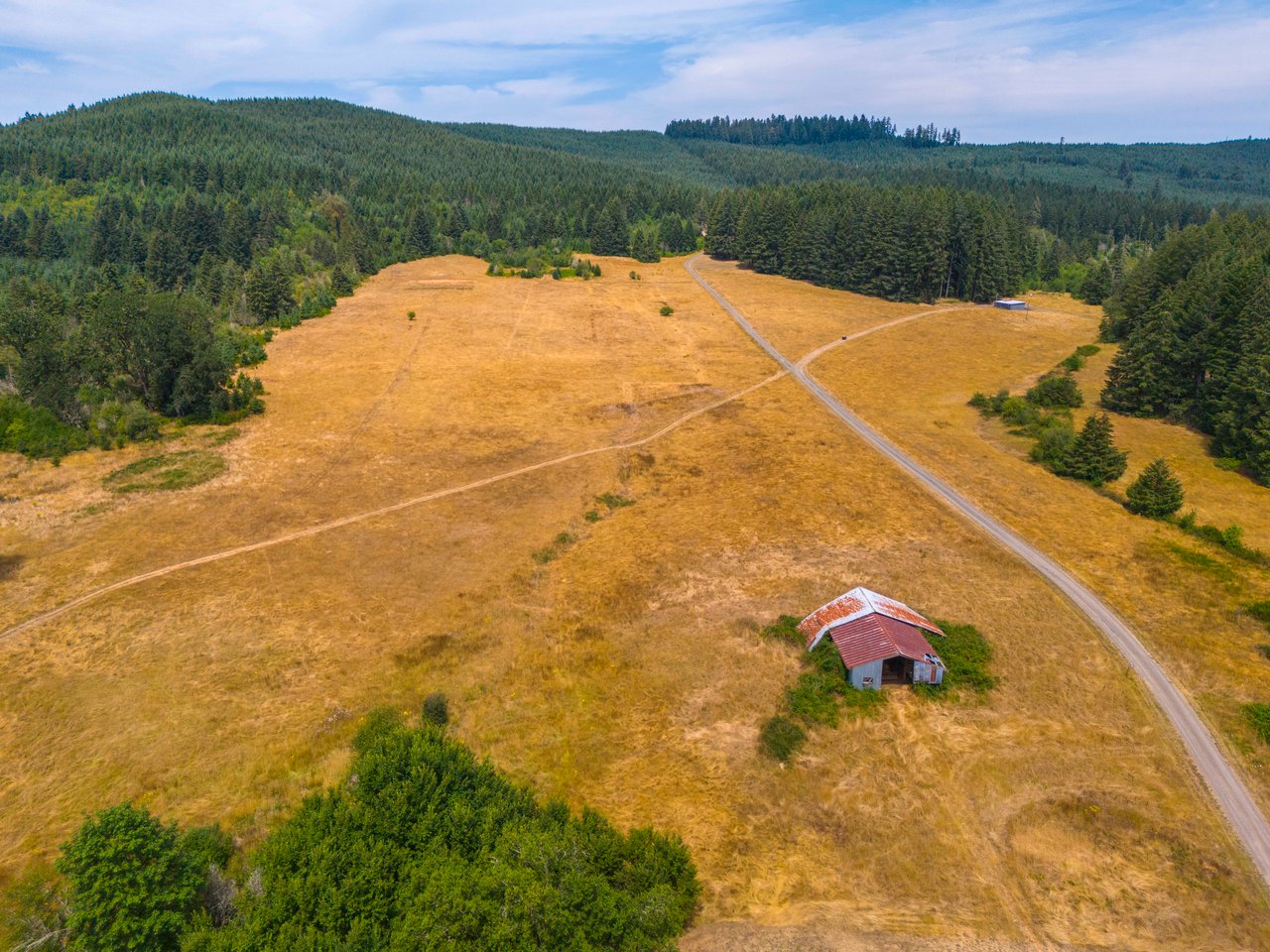 Sheffler Farm & Forest