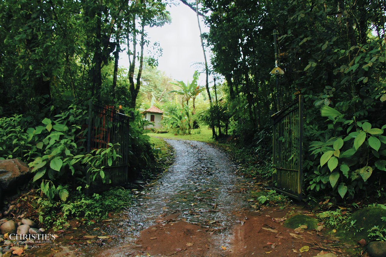 Finca Isla Rainforest Retreat – A Rare Income-Producing Paradise