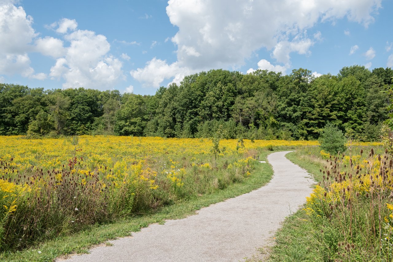 Joshua Meadows image 2