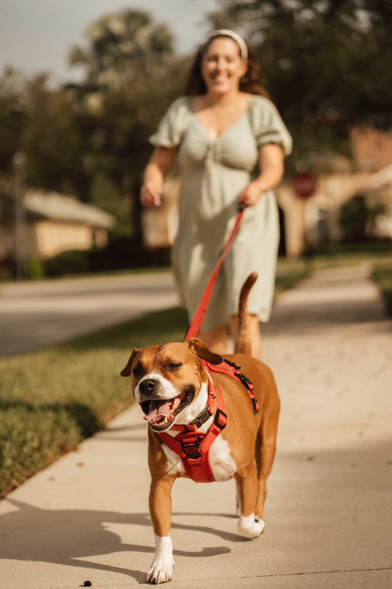 Horse Creek Estates Naples FL | Homes for Sale & Neighborhood Guide