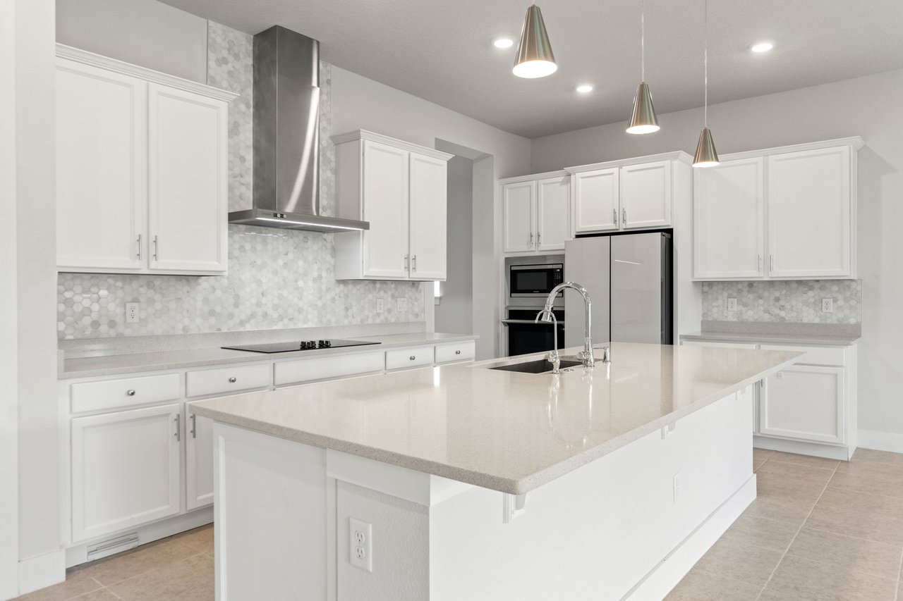 Move-In Ready Rental with Lagoon Access in Wesley Chapel