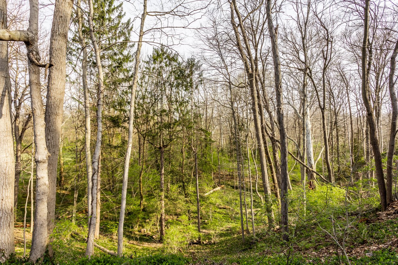 7548 Morningside Drive