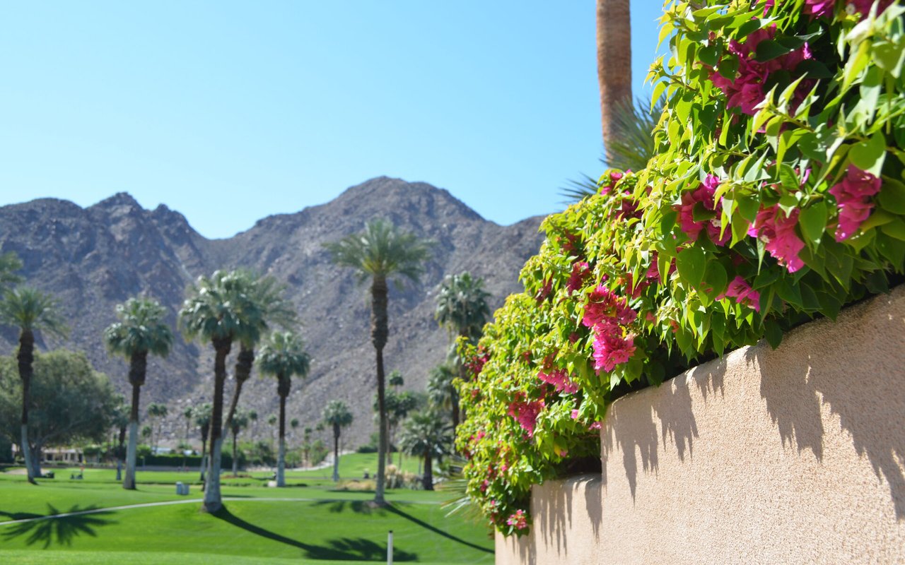 Palm-lined park with green lawns, rugged mountains, and pink bougainvillea along a stucco wall.