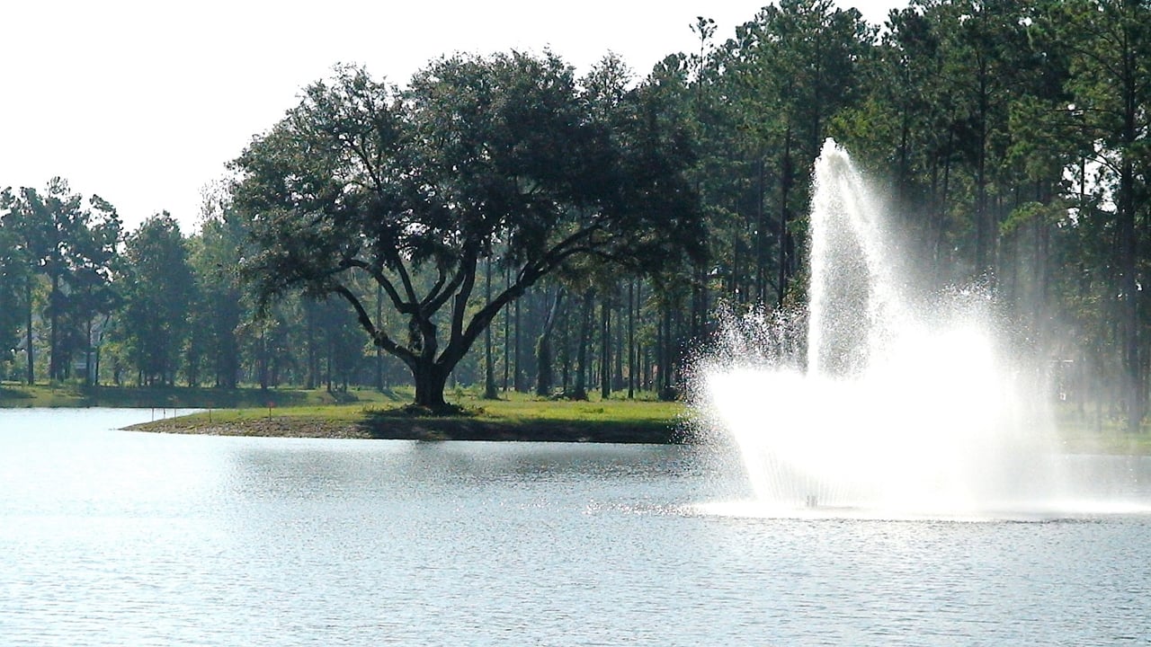 How to Use Virtual Tours When Selling Your Home in Hampton Hall, SC