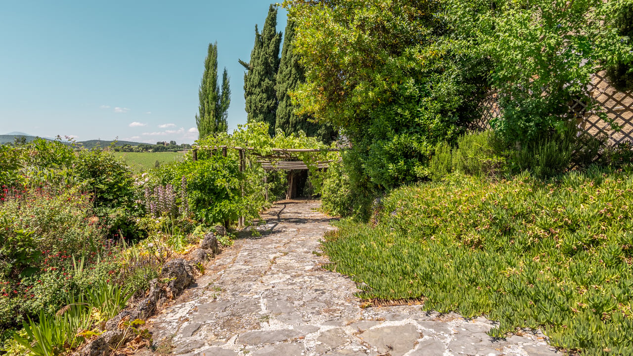 PODERE VULTUS
