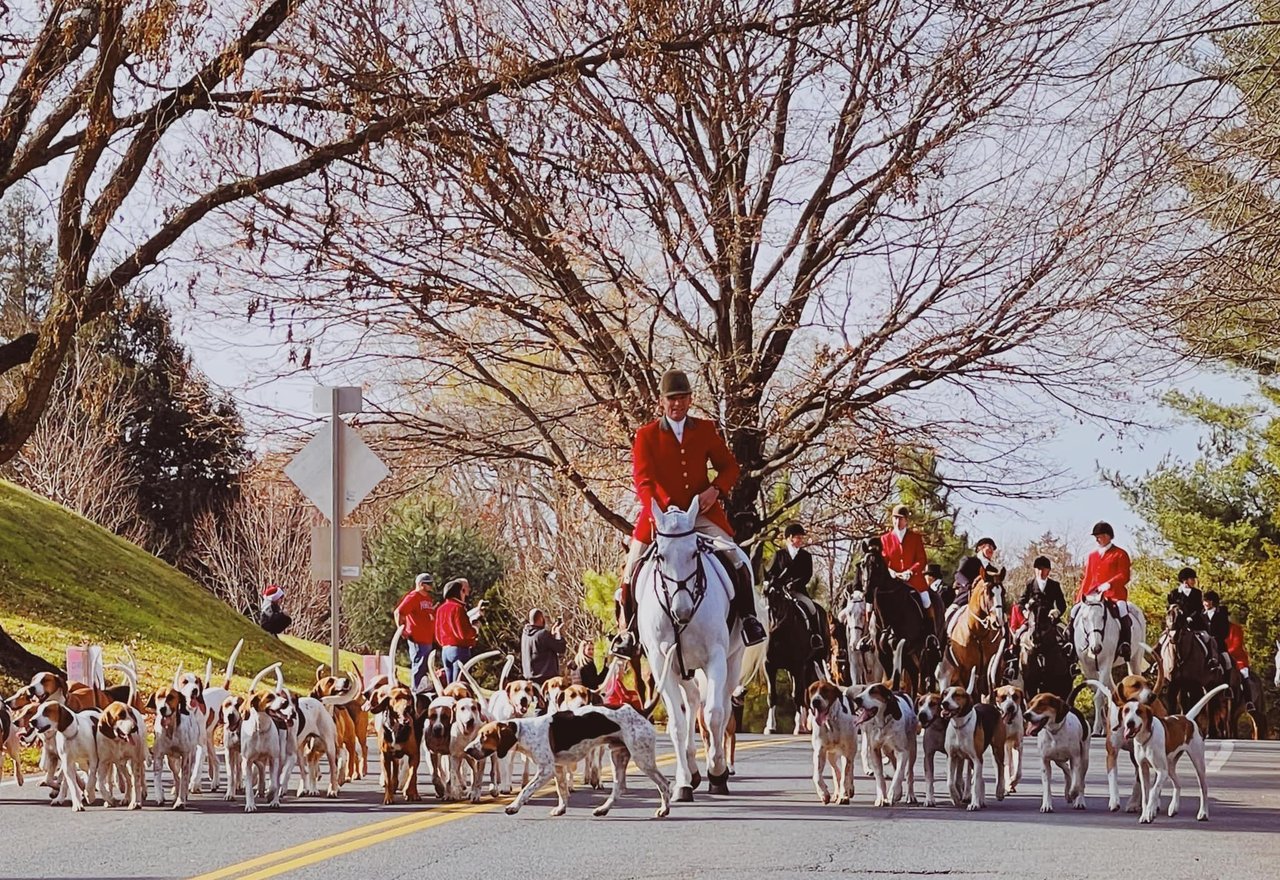 In and Around Middleburg Virginia