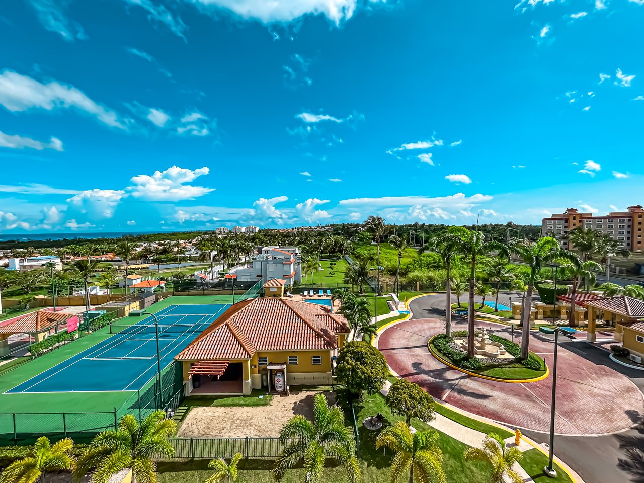 Royal Palm B-502