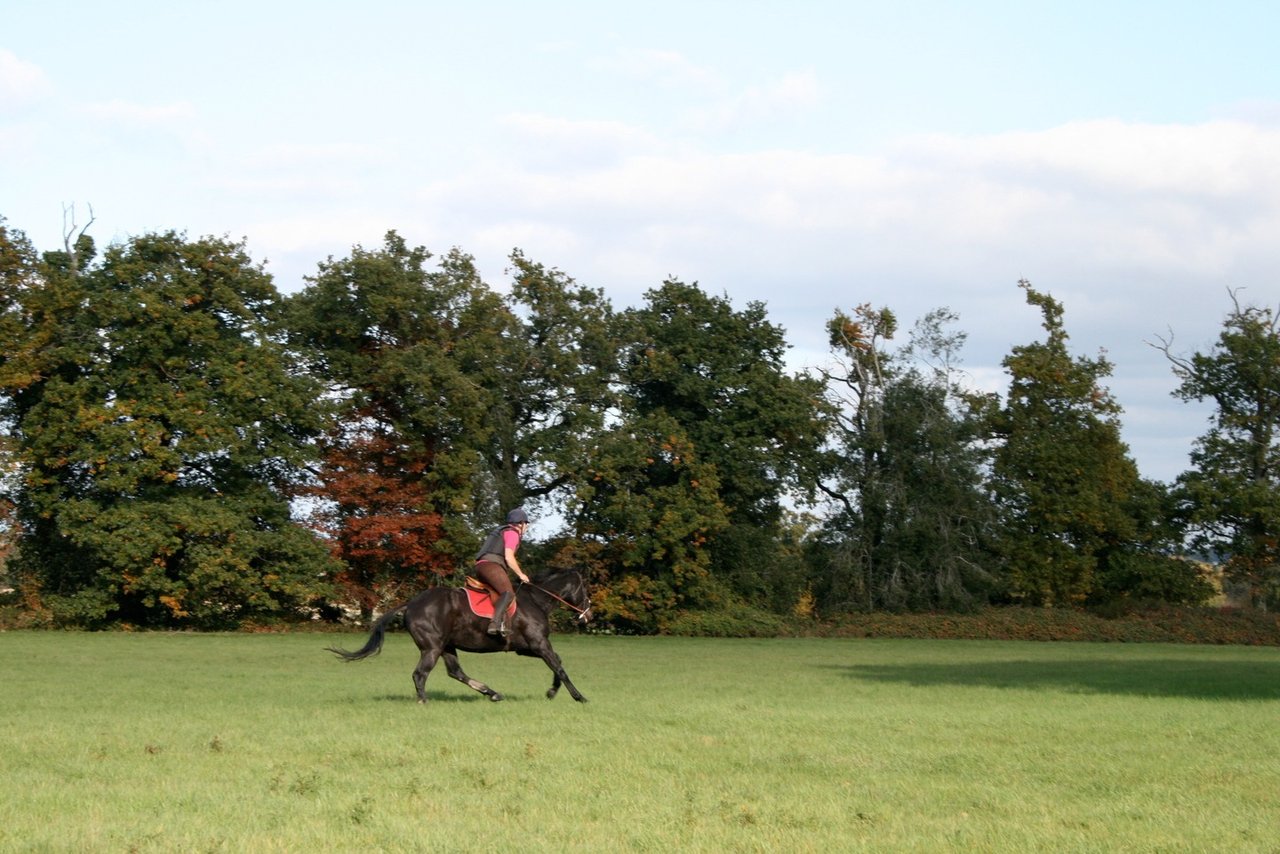19th Century Fairytale Chateau in Loire Valley