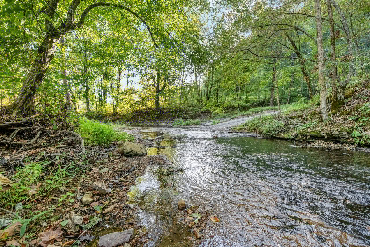 8192 Shoals Branch Road