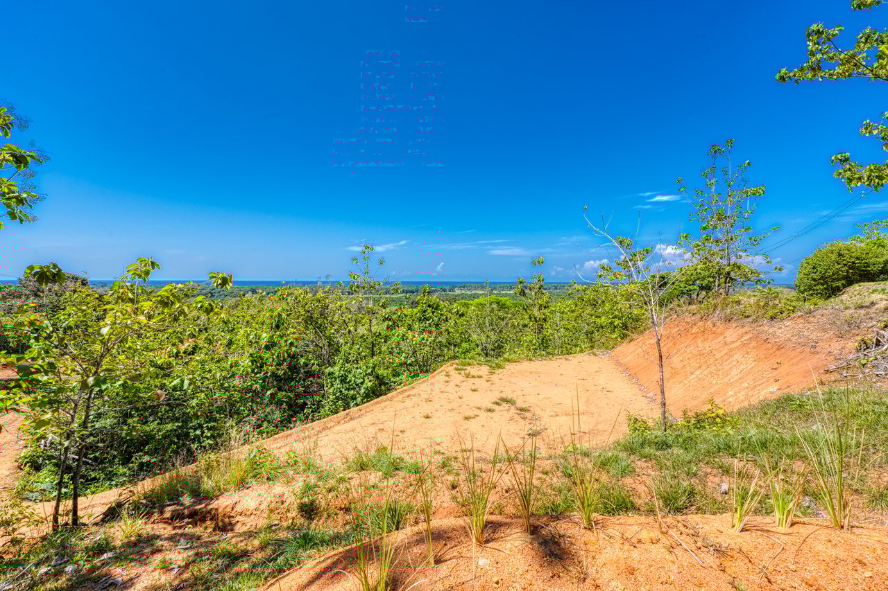 ¡New Gated Development in Matapalo - Ocean View and Flat Land, ready to build!
