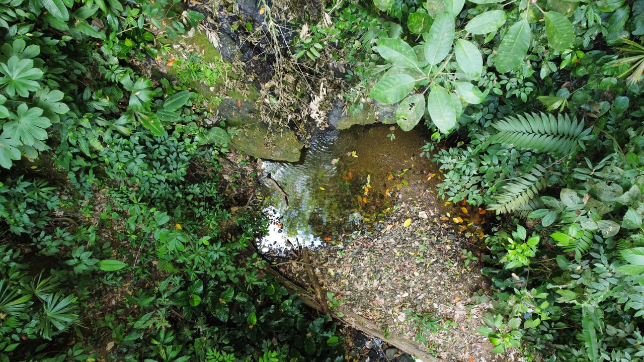 Unique property with terraces and spectacular views near Manuel Antonio National Park