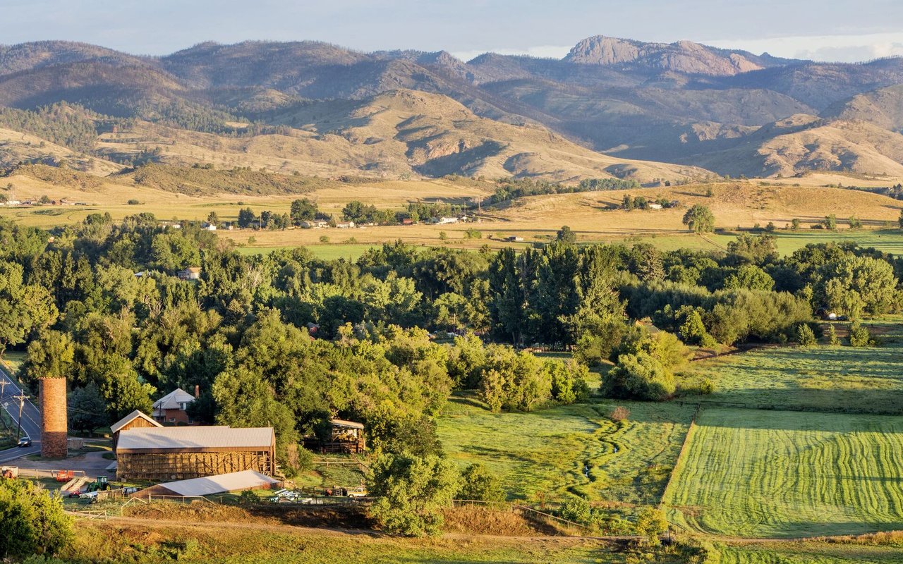 A Legacy in the Making: Weeping Willow Ranch Finds New Stewards