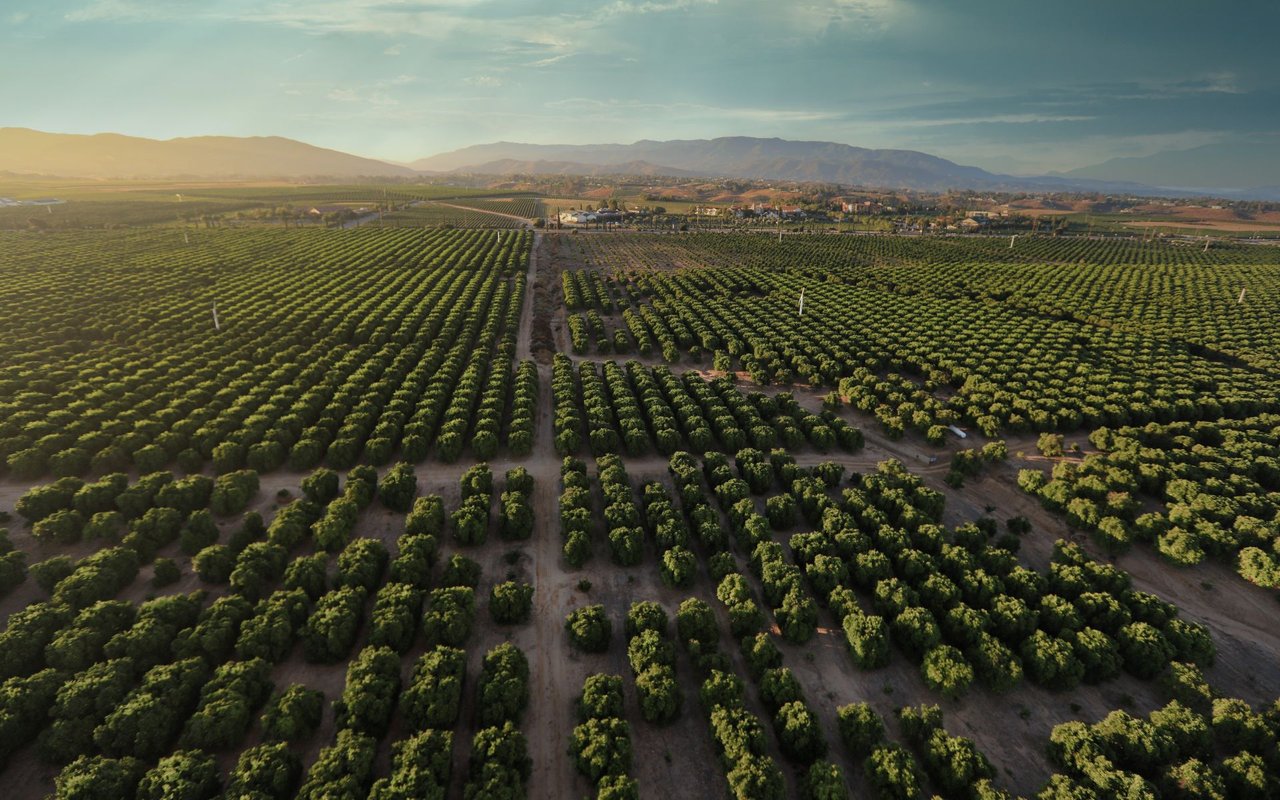 Temecula