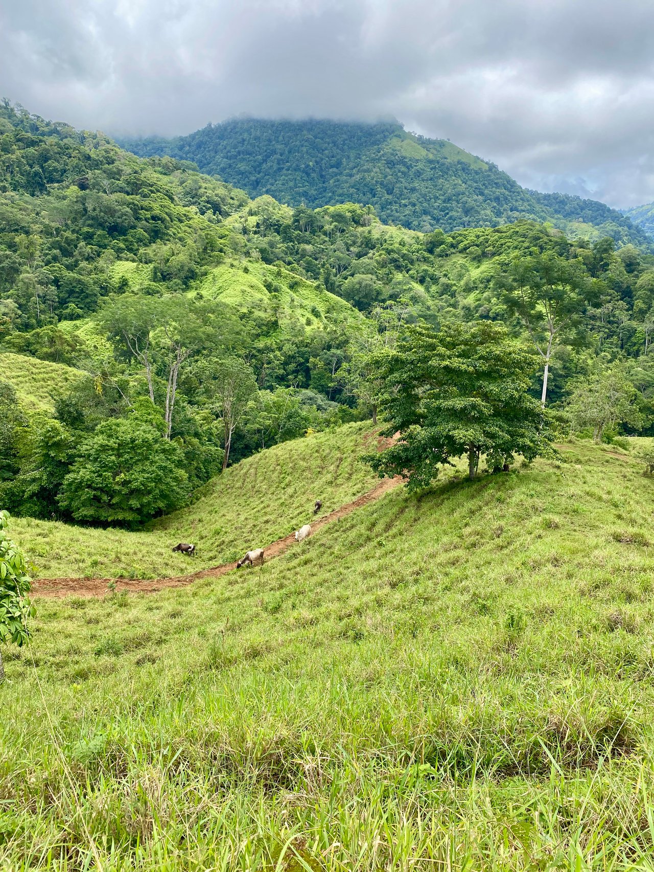 Spectacular 70 Acre Multiple Waterfall Property with Dramatic Views Near Ojochal