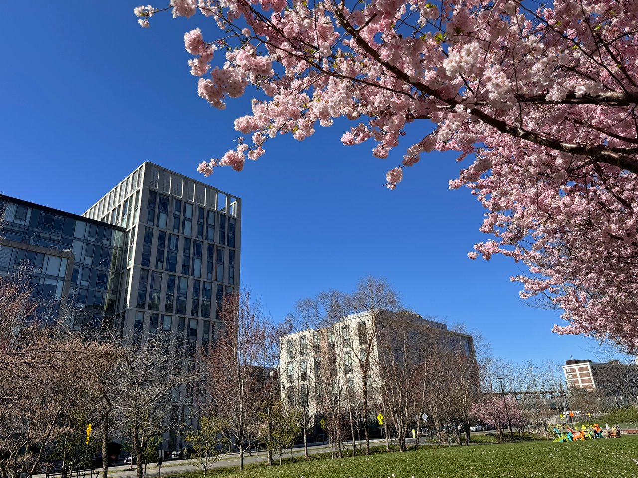 2 Earhart Street, Unit 904