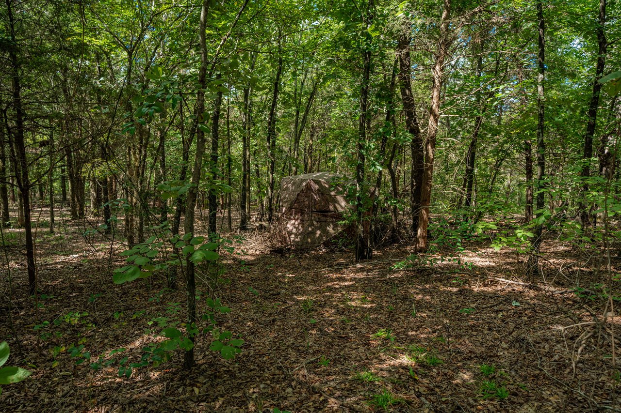 A Ben Wheeler Country Home & Land Dream!