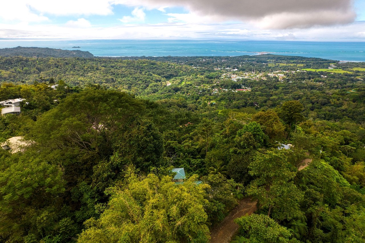 WONDROUS WHALE’S TAIL OCEAN VIEW HOME ABOVE UVITA