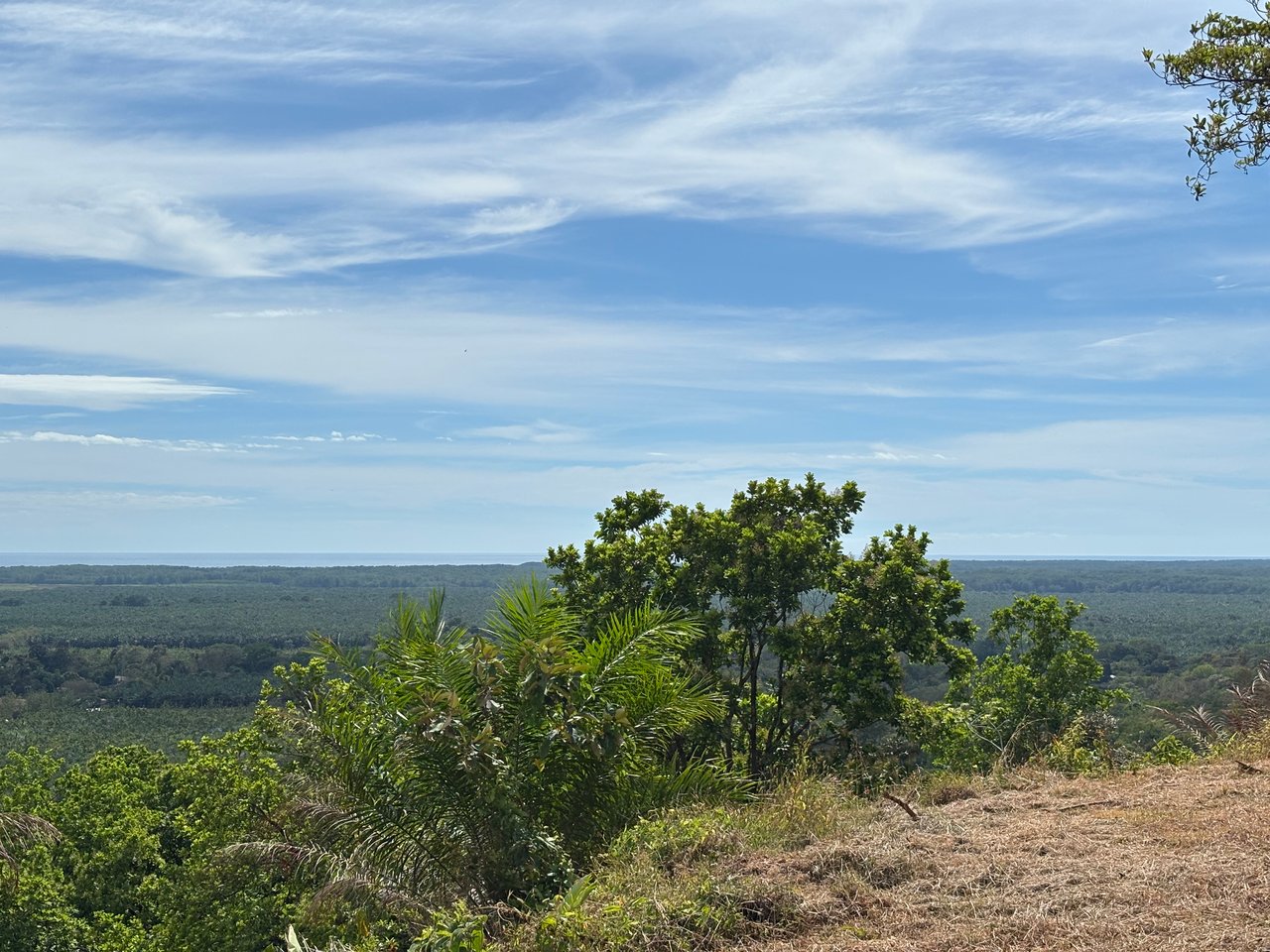 Breathtaking Ocean-View Estate: Over 1 Hectare of Serenity and Sunset Magic