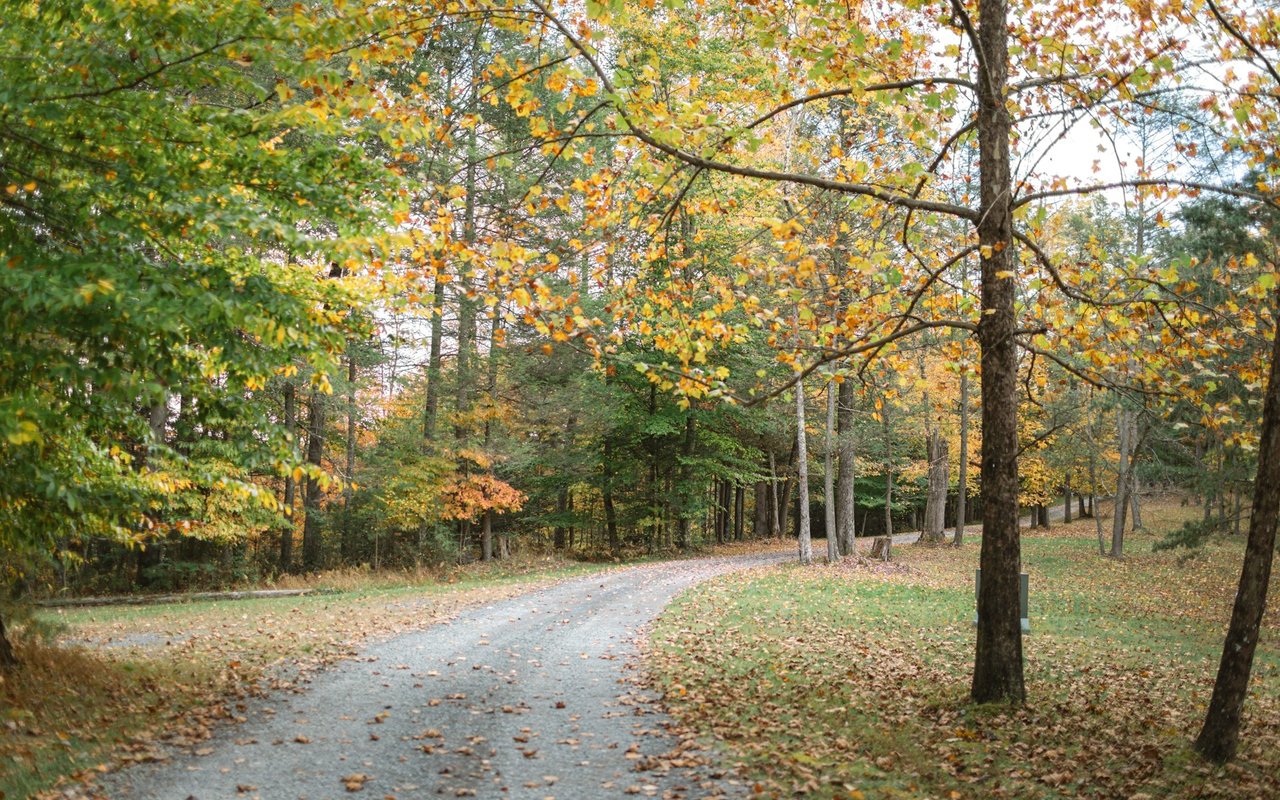 A paved road curves through a wooded area with colorful autumn foliage.