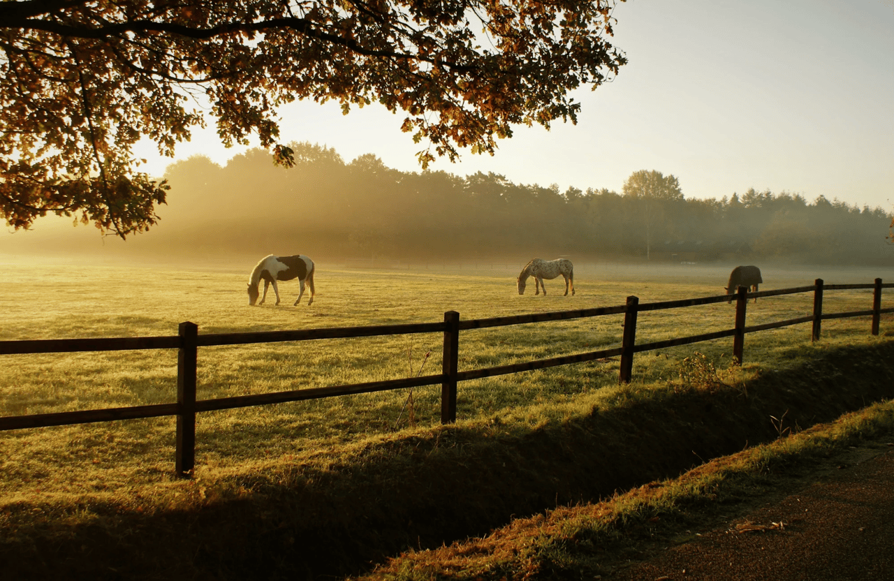 Hope Ranch