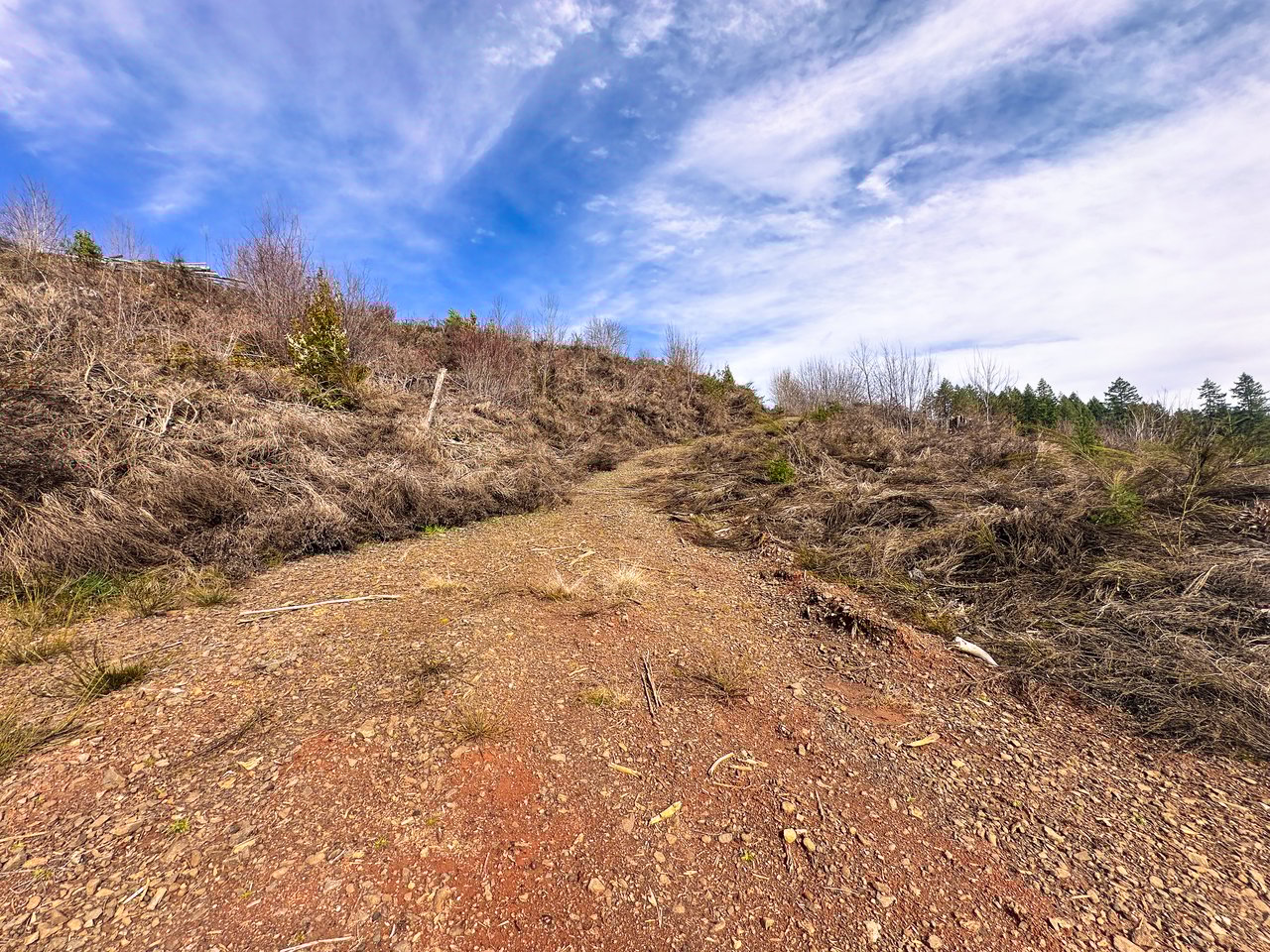 Smith River Back Woods