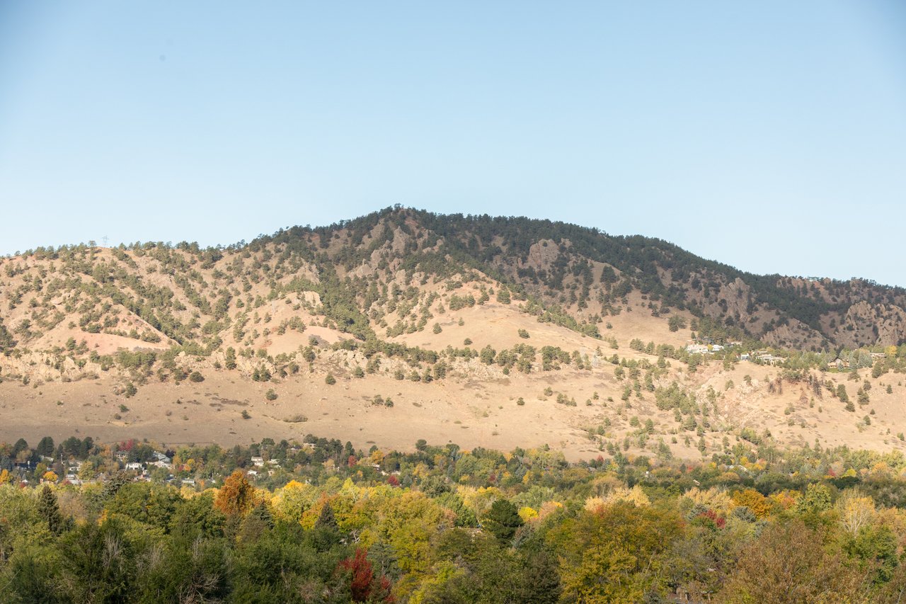 Boulder foothills near Mount Sanitas rising above fall trees, as seen from 2003 Balsam Drive
