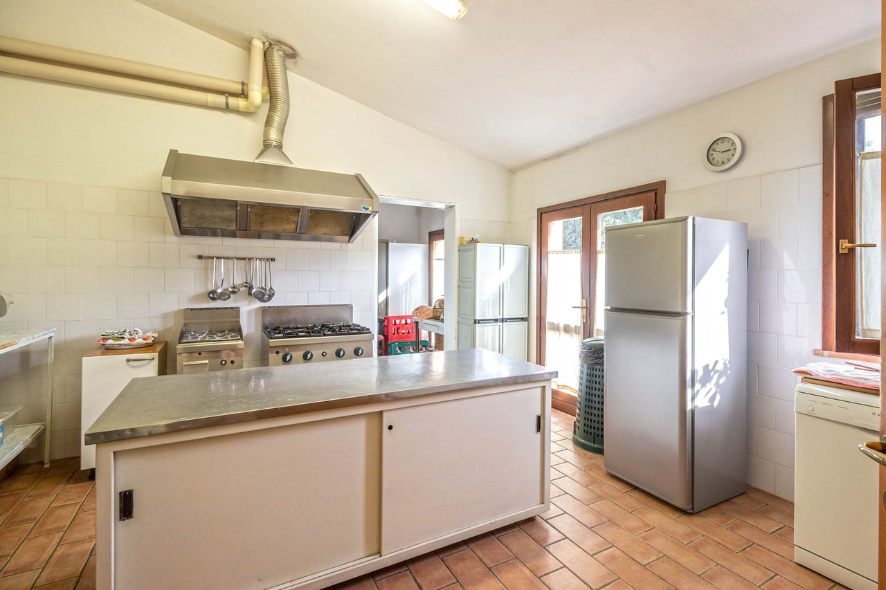 Organic Agriturismo in Roccastrada