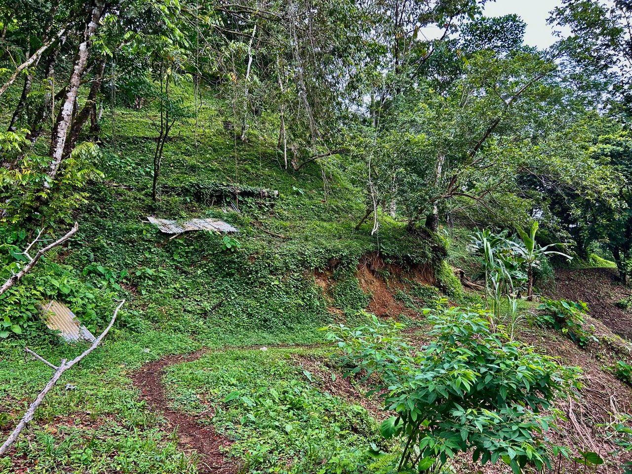 Ocean View Property in Playa Hermosa - Over 1 Acre