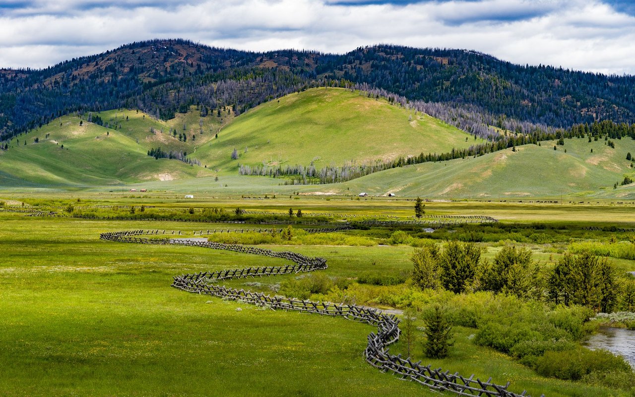 Mccall