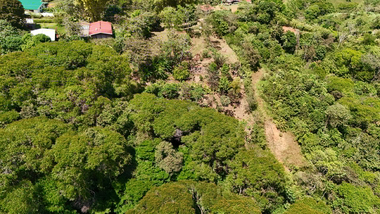 New 1,4 Acre lot in Platanillo – With Legal Water  