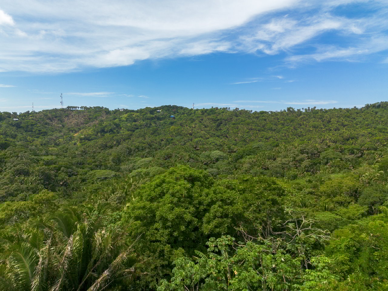 Ex-Canopy French Harbour, 59 acres