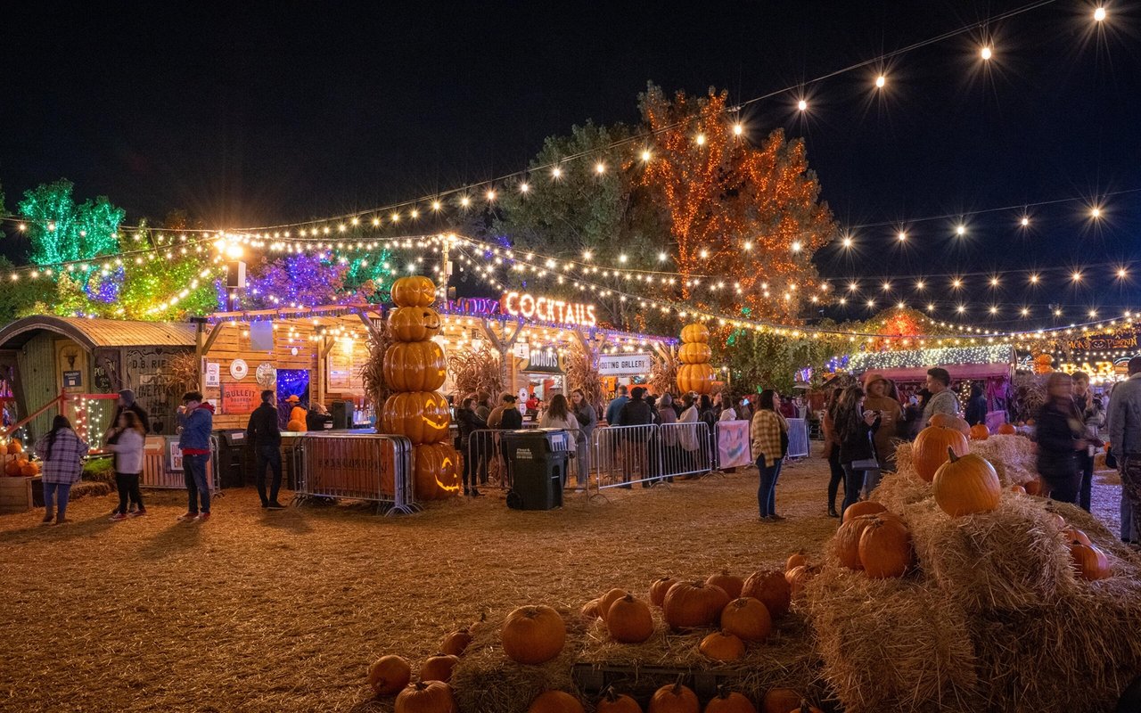 Your Ultimate Guide to Delaware Valley Fall Festivals and Fairs