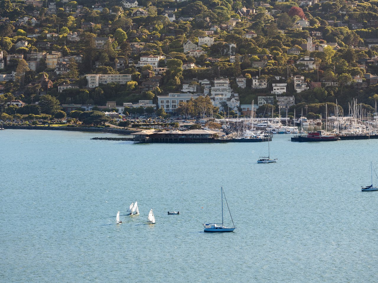 Exceptional Setting with views spanning San Francisco, the Golden Gate Bridge, Sausalito, and across the bay