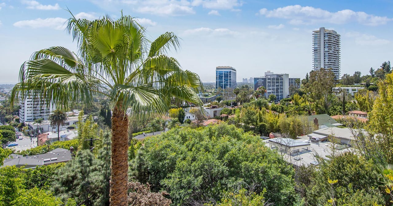 A great opportunity for a developer