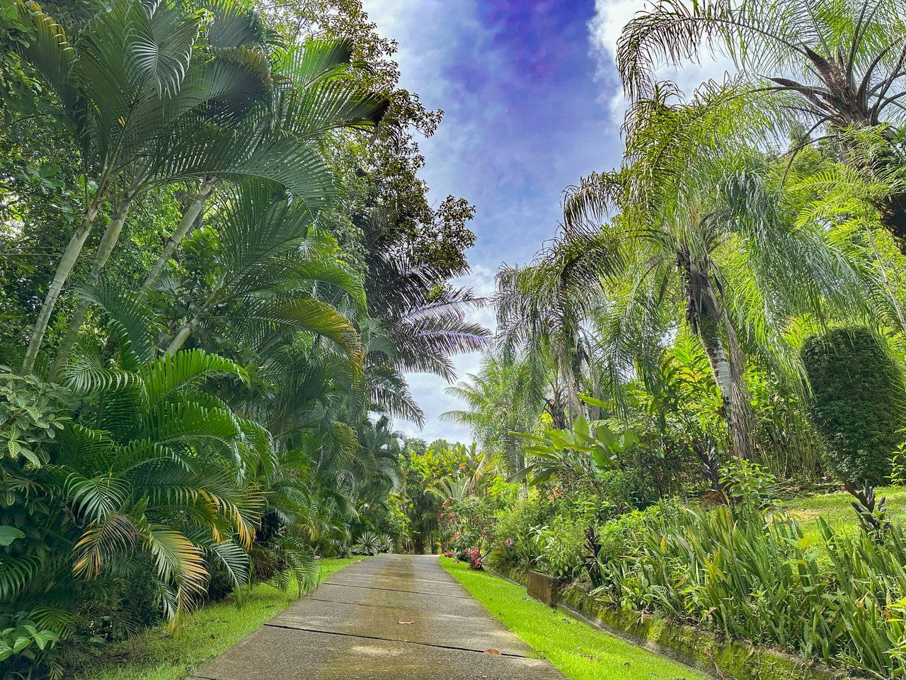 Ojochal Property for Sale – Cabins, Restaurant & 3-Bed Home