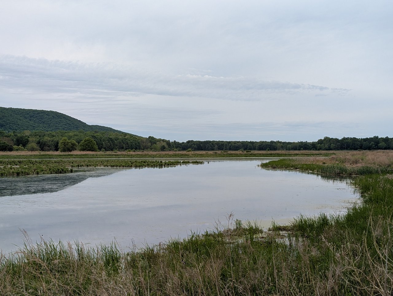 Key Conservation Organizations in the Hudson Valley
