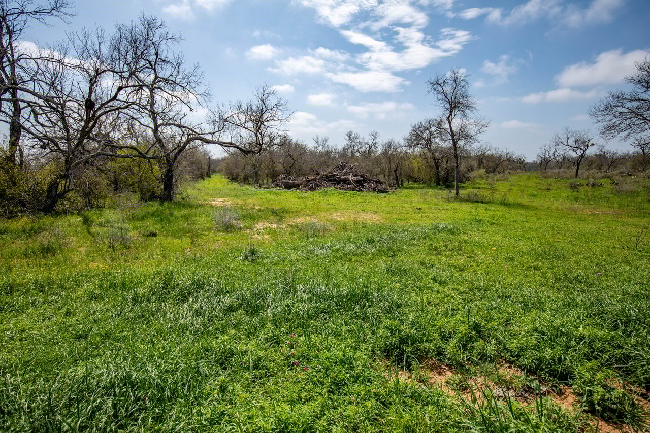 Dry Hollow Creek Ranch | 21.96± Acres | Bexar County