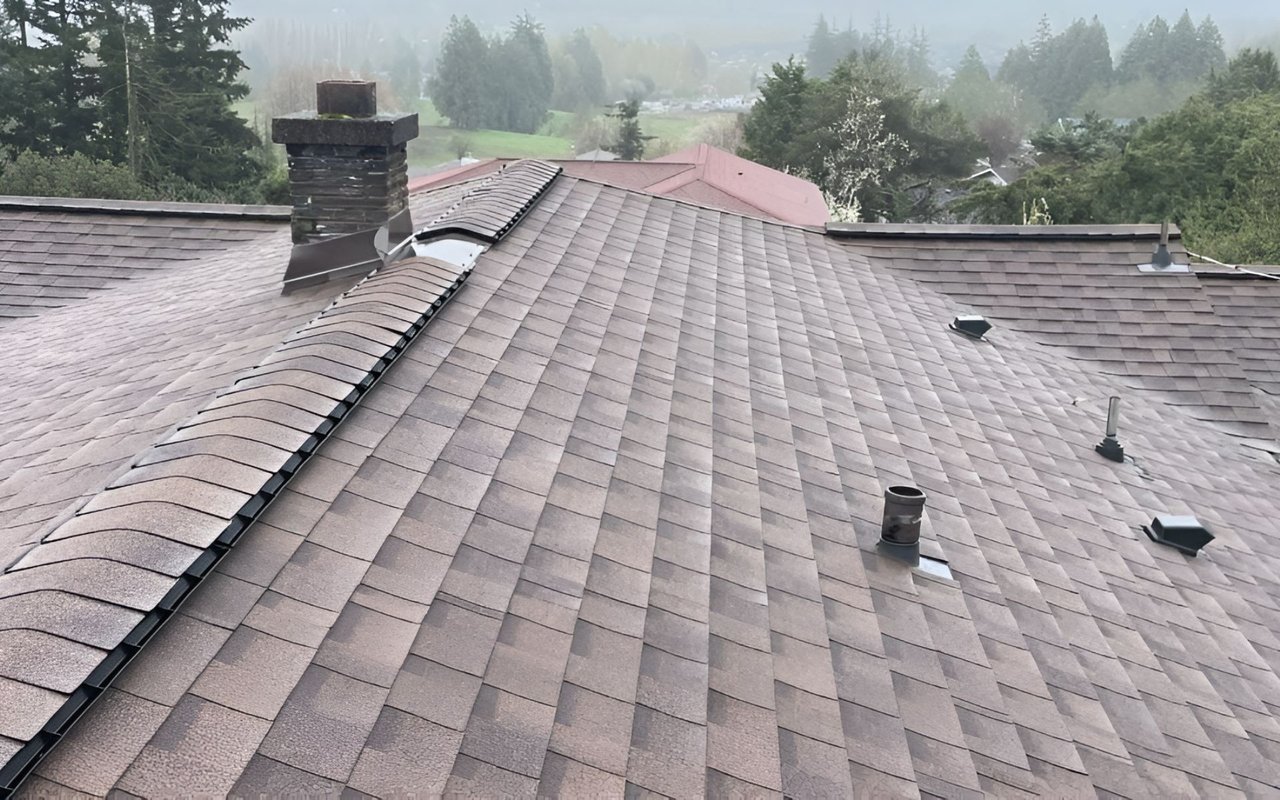 Roofs, Roofs And More Roofs - All You Need To Know - Living in Greater Seattle