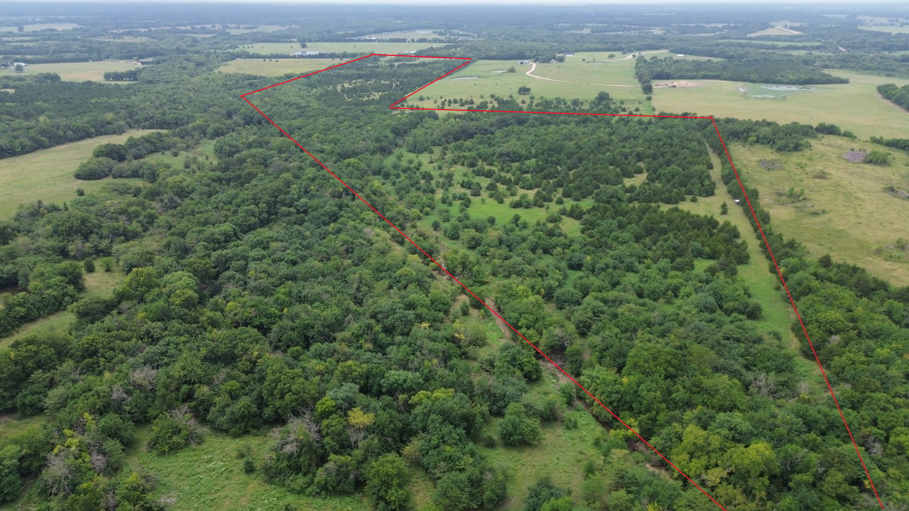 85 Acres Lamar County