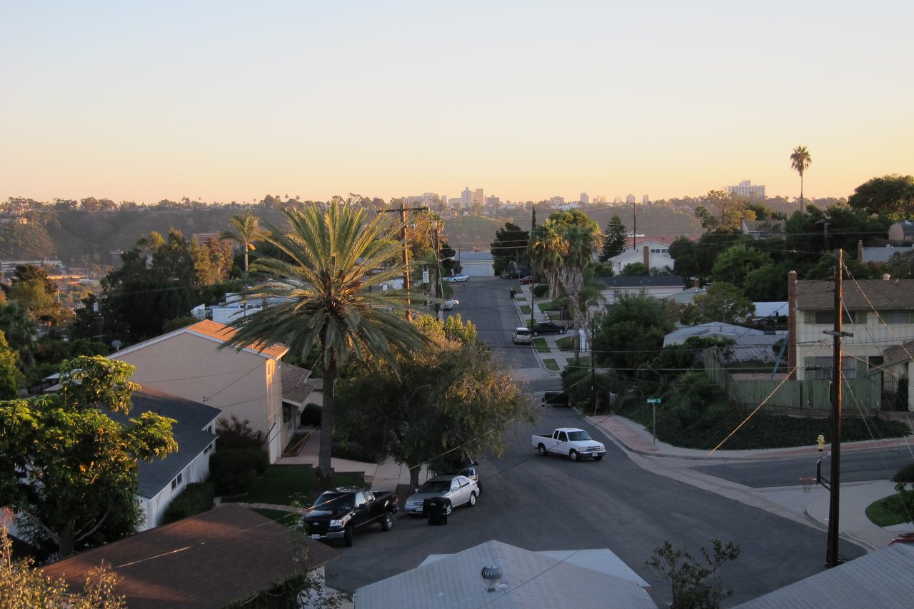 Residential street in Birdland San Diego with palm trees, mid-century homes, and city skyline in the background—ideal for real estate buyers seeking central location and charm.
