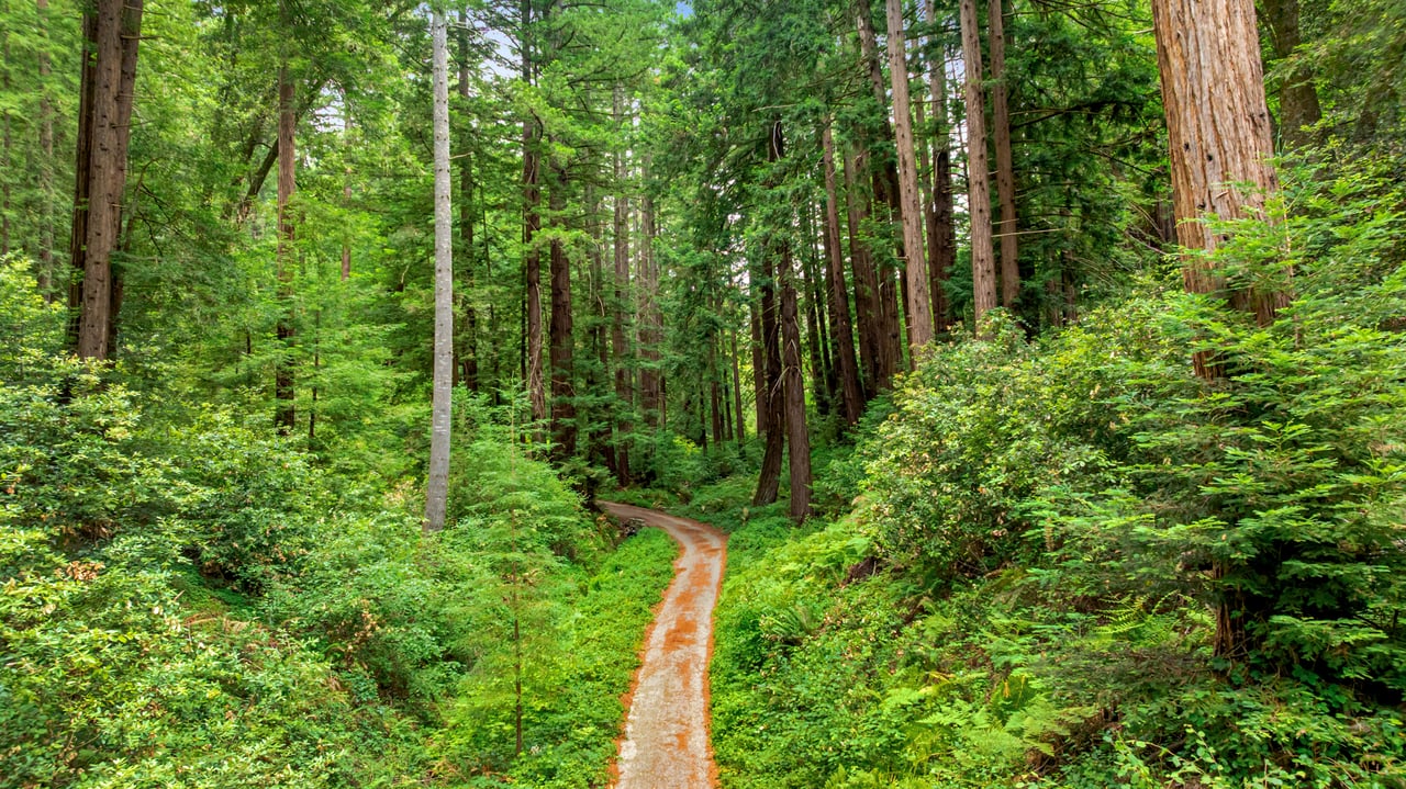 Rare Redwood Acreage in Scotts Valley
